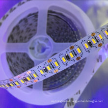 Nonwaterproof Flexible 3014 SMD LED Strip with 204PCS LED